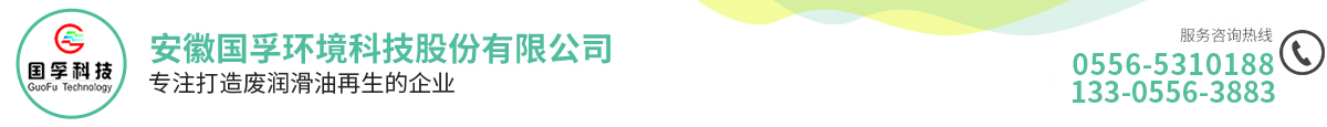 安徽國(guó)孚環(huán)境科技股份有限公司